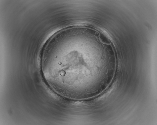 X0000115790835200911131306