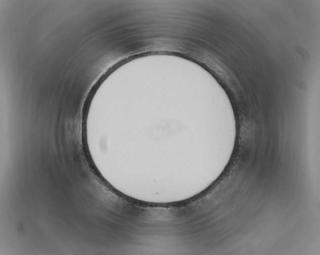 X0000115790836200911131306