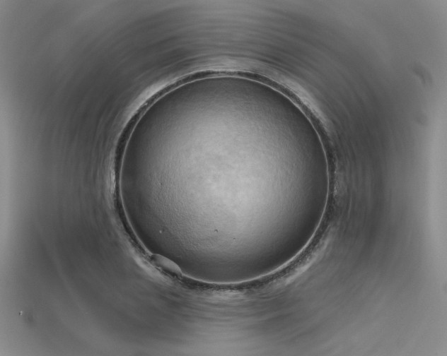 X0000115790837200911131306