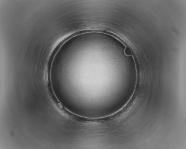 X0000115790838200911131306