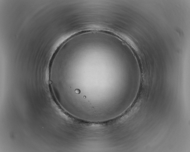 X0000115790839200911131306