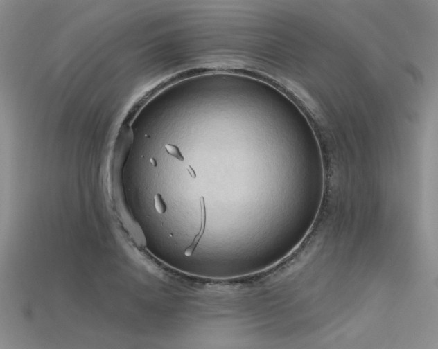 X0000115790840200911131306