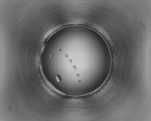 X0000115790842200911131306