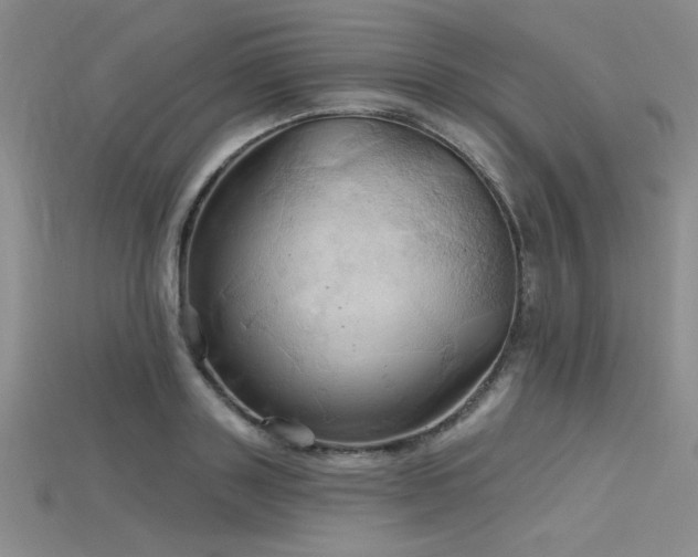 X0000115790843200911131306