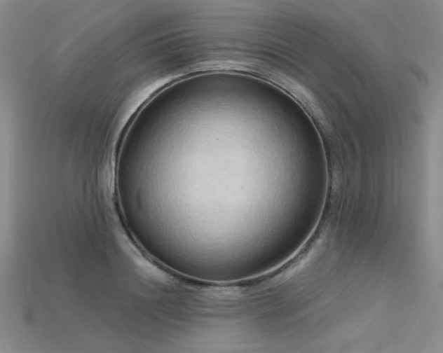 X0000115790844200911131306