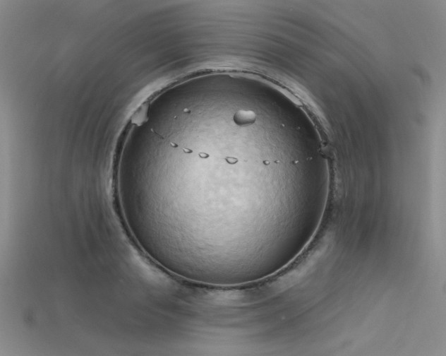 X0000115790845200911131306