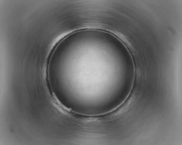 X0000115790846200911131306