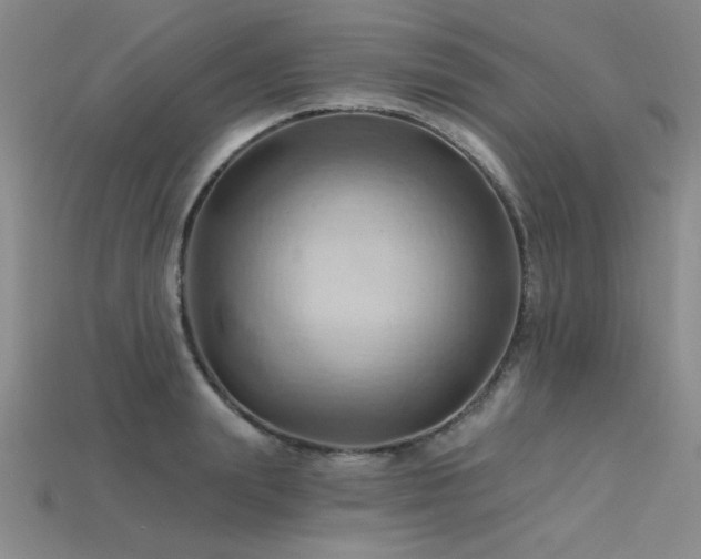 X0000115790847200911131306