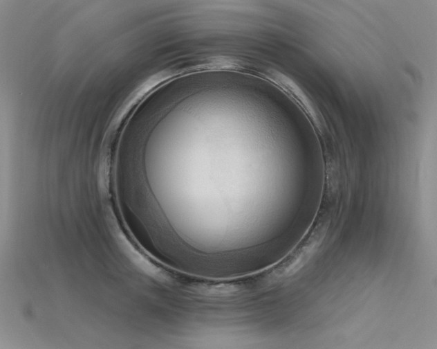 X0000115790851200911131306