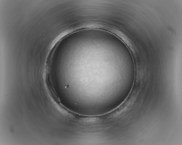 X0000115790853200911131306