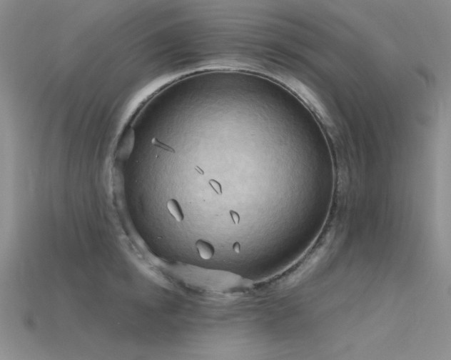 X0000115790854200911131306