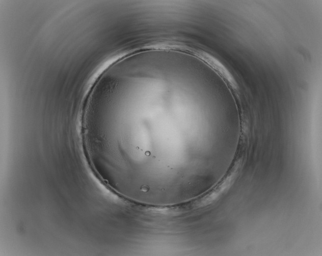 X0000115790855200911131306