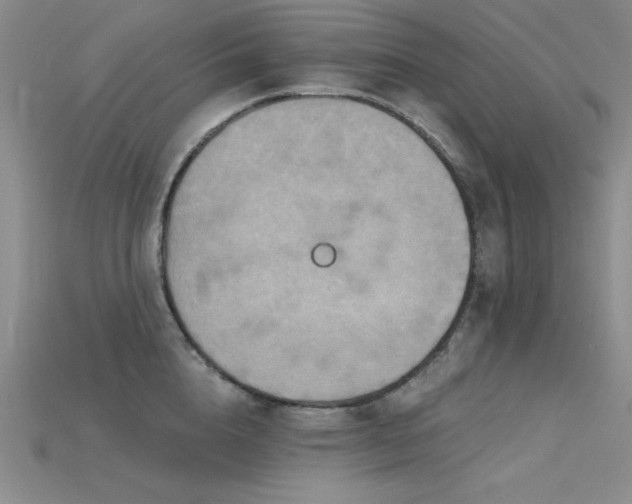 X0000115790856200911131306