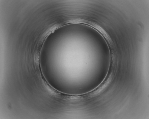 X0000115790857200911131306