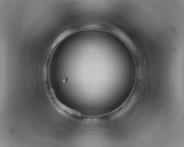 X0000115790858200911131306