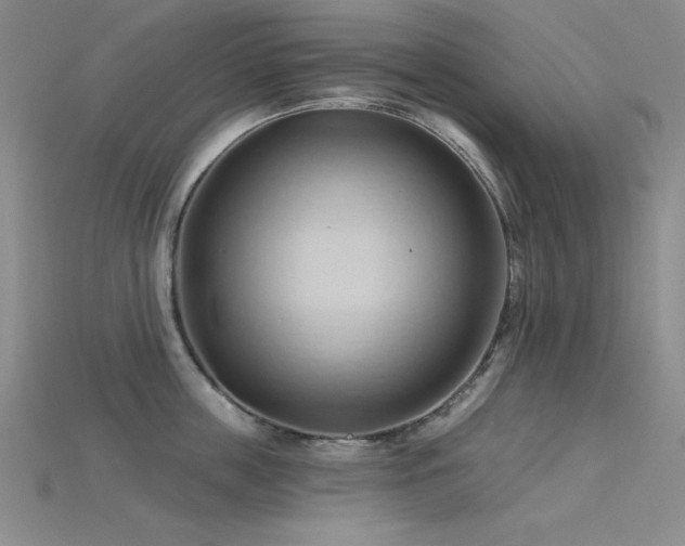 X0000115790859200911131306