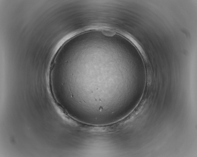 X0000115790861200911131307