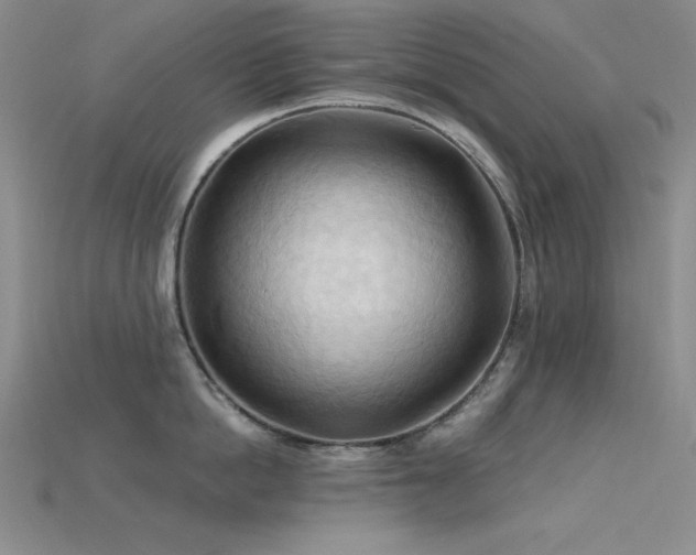 X0000115790862200911131307