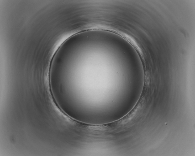 X0000115790863200911131307