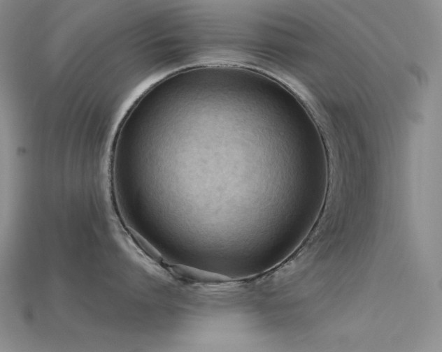 X0000115790864200911131307