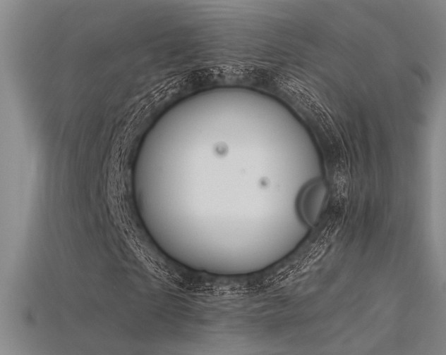 X0000115790865200911131306