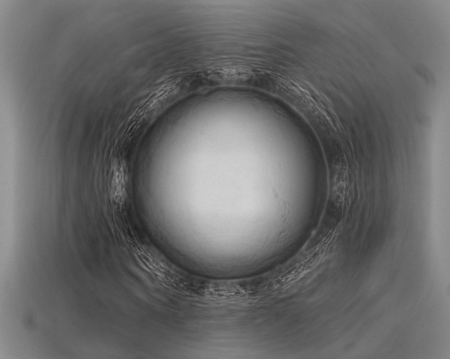 X0000115790866200911131306