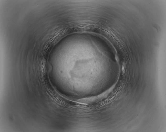 X0000115790867200911131306