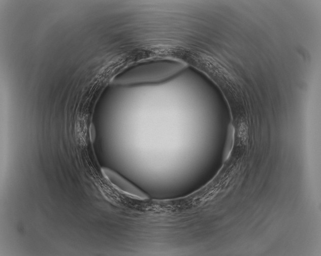 X0000115790868200911131306