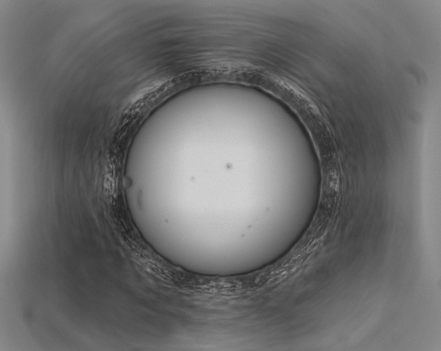 X0000115790869200911131306