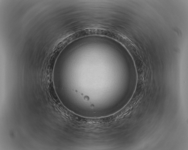 X0000115790870200911131306