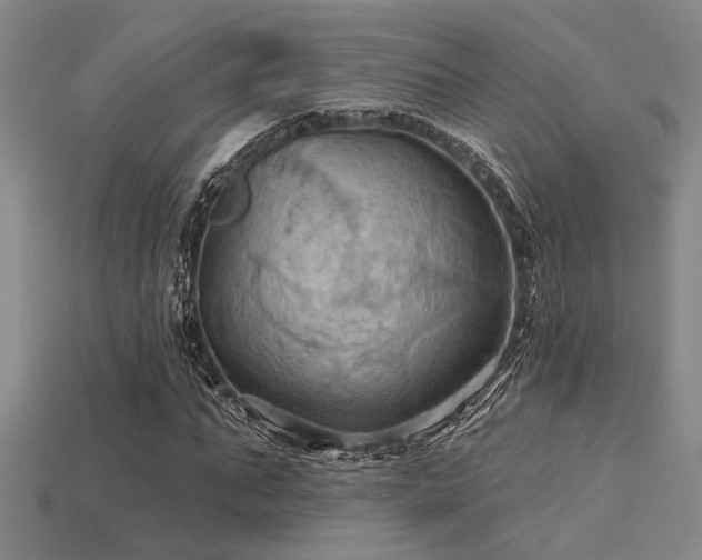 X0000115790871200911131306