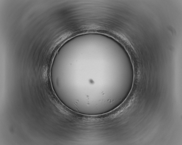 X0000115790873200911131306