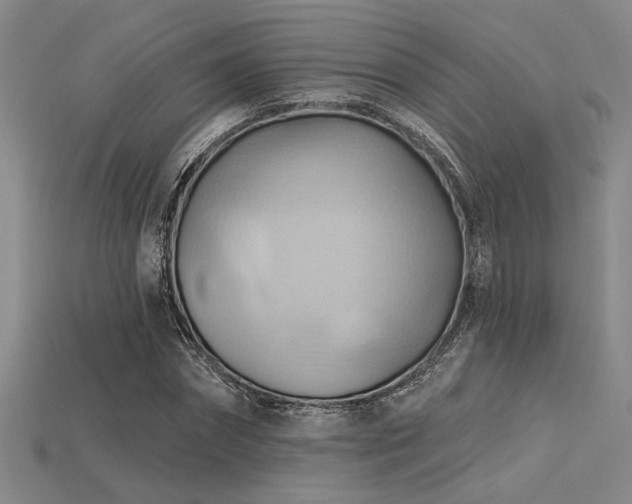 X0000115790874200911131306