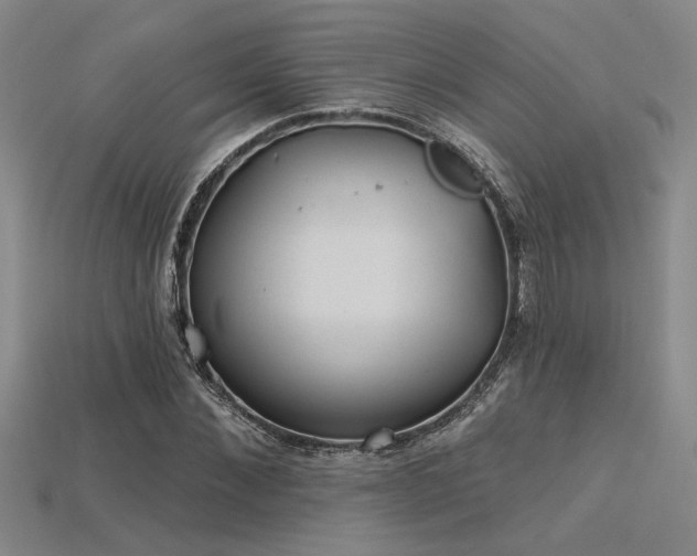 X0000115790876200911131306