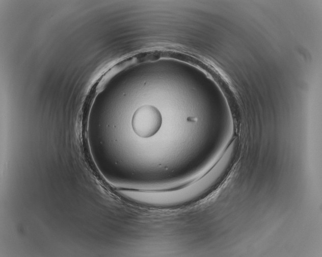 X0000115790877200911131306