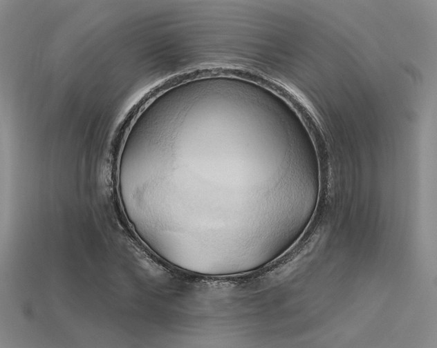 X0000115790878200911131306