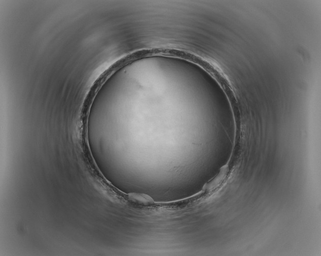 X0000115790879200911131306