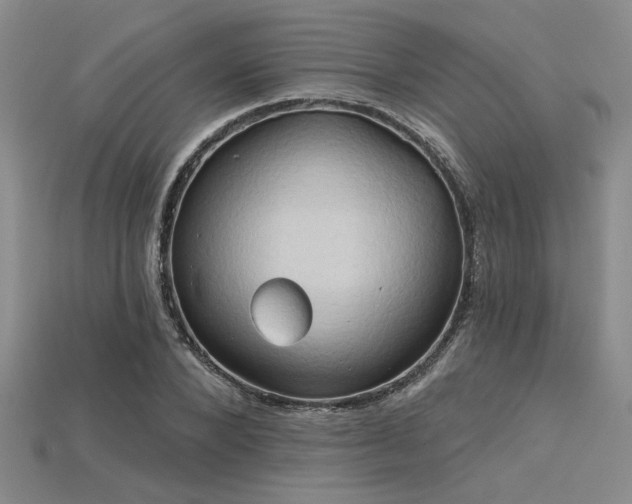 X0000115790880200911131306