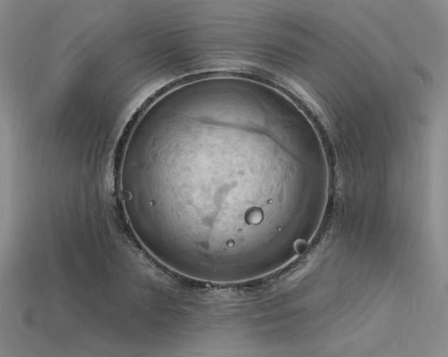 X0000115790883200911131306