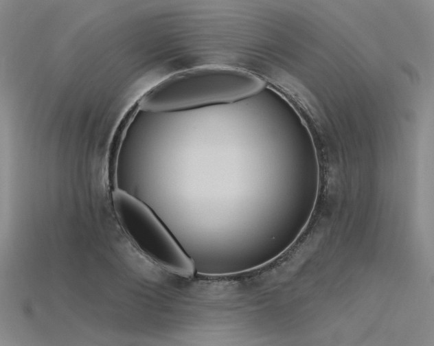 X0000115790884200911131306