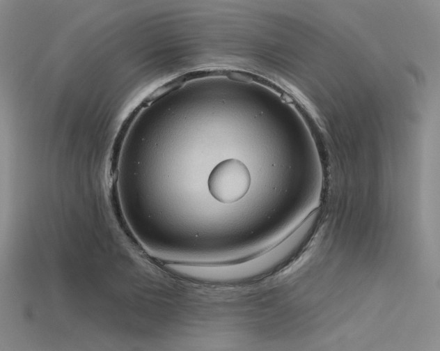 X0000115790885200911131306