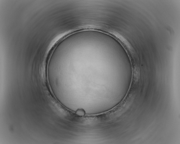 X0000115790886200911131306