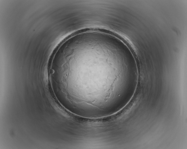 X0000115790887200911131306