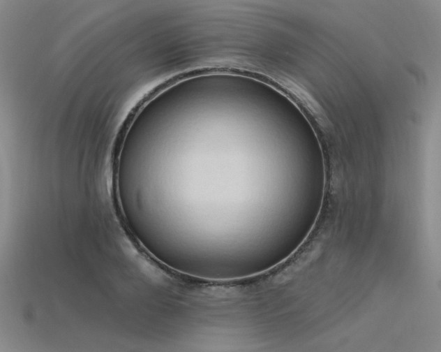 X0000115790888200911131306