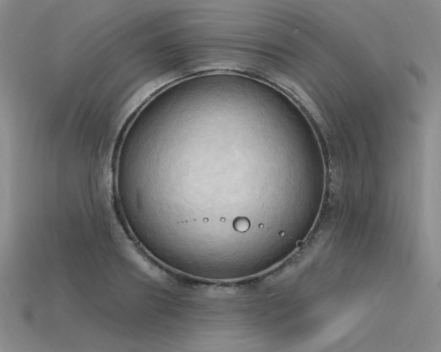 X0000115790890200911131306