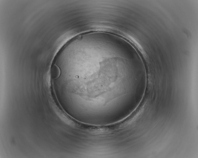 X0000115790891200911131306