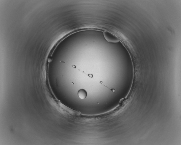 X0000115790892200911131306