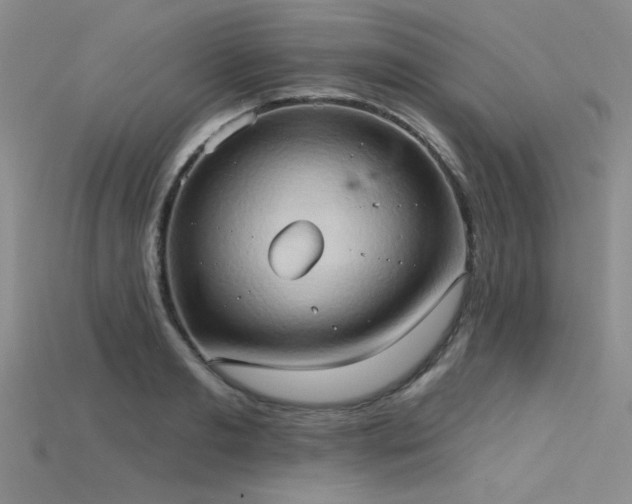 X0000115790893200911131306