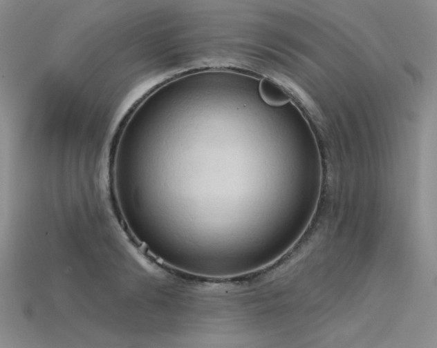 X0000115790894200911131306