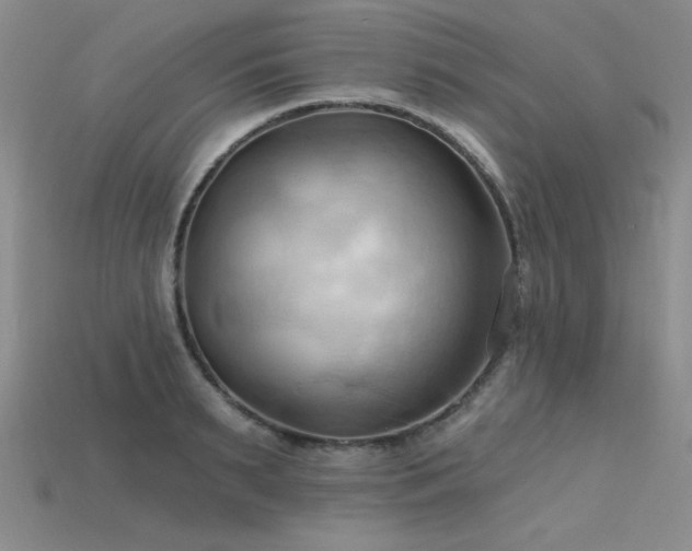 X0000115790895200911131306